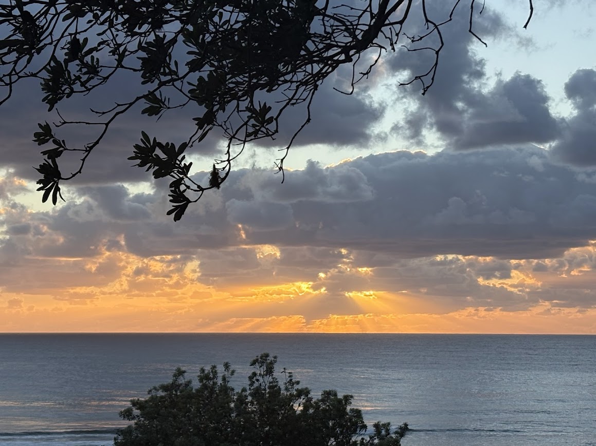 sun rising over the beach